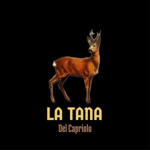 La Tana Del Capriolo Apartment Prati di Tivo Luaran gambar